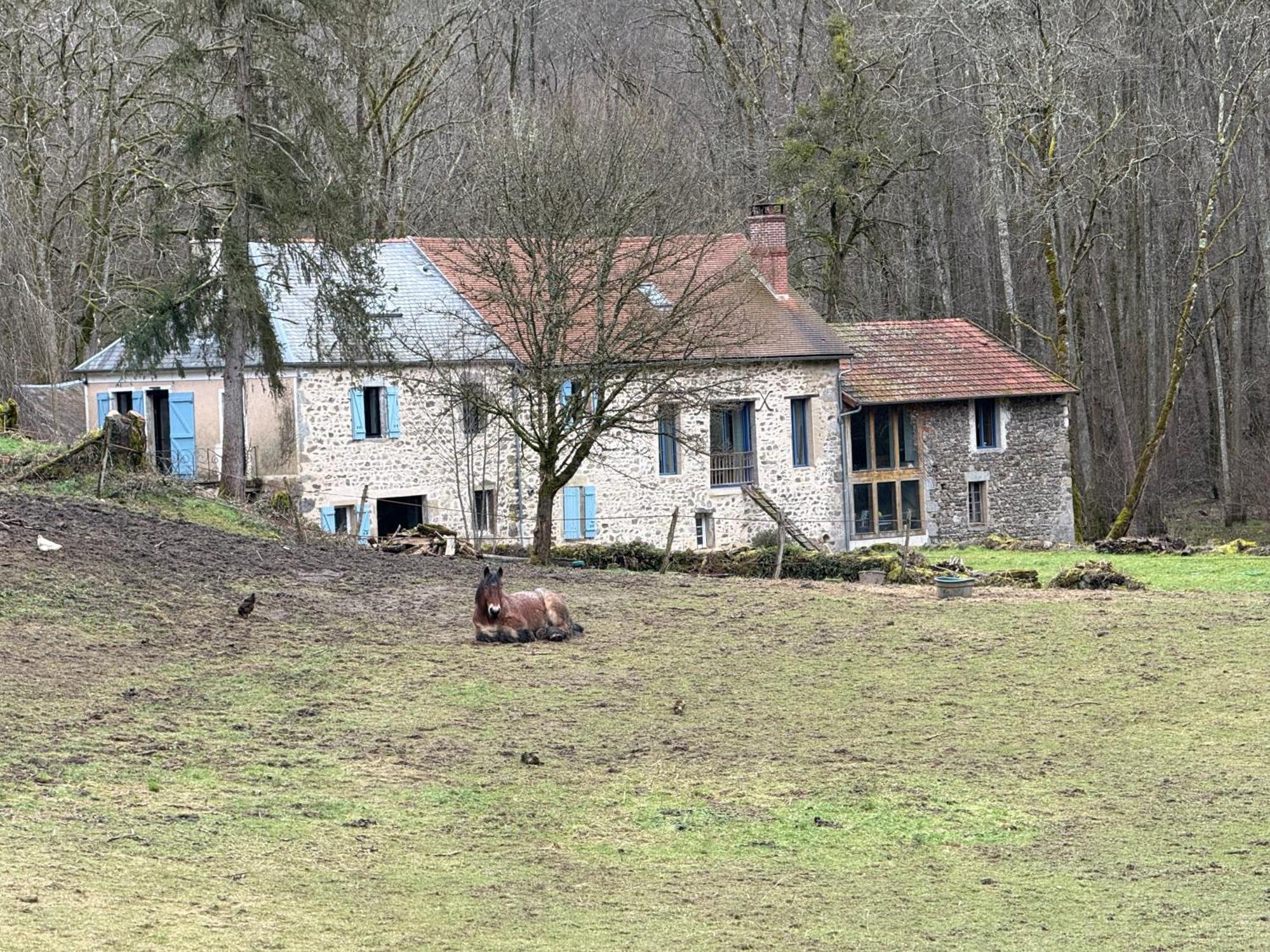 Gite De La Fontaine Saint-Andre-en-Morvan المظهر الخارجي الصورة